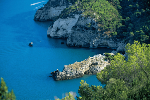 mediterranean 4